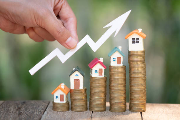 buying a flat with CIBIL score